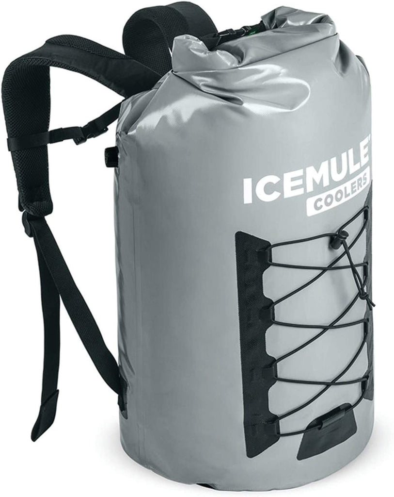 How Much is a Backpack Cooler 2026? Answers, options and reviews in this post