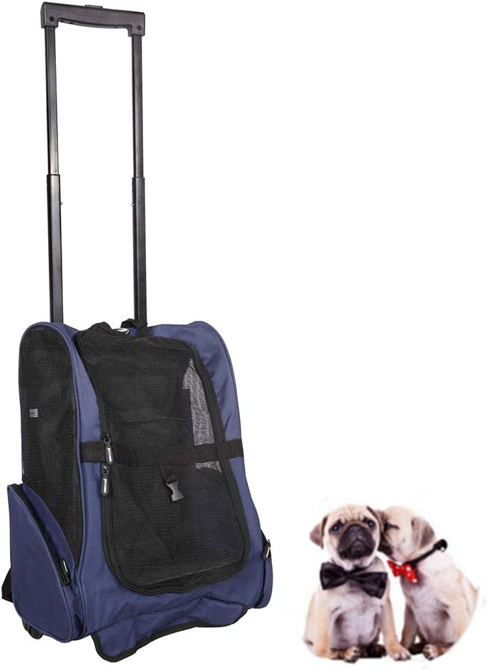 Dog Bags Travel: The Ultimate Guide to Safe and Comfortable Pet Travel