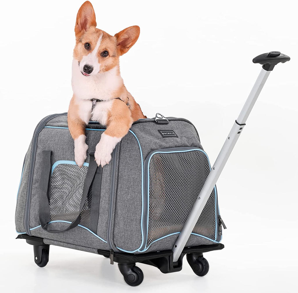 Best Dog Traveling Bag: A Comprehensive Guide 2023