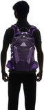 Gregory Mountain Products Maya 16 Liter Women's Daypack, Mountain Purple, One Size - backpacks4less.com