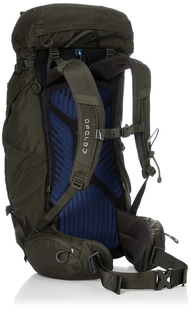 Osprey Packs Kestrel 38 Backpack, Picholine Green, Medium/Large - backpacks4less.com