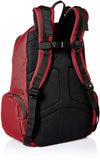 DC Men's The Breed Skateboard Backpack, Cabernet, 1SZ - backpacks4less.com