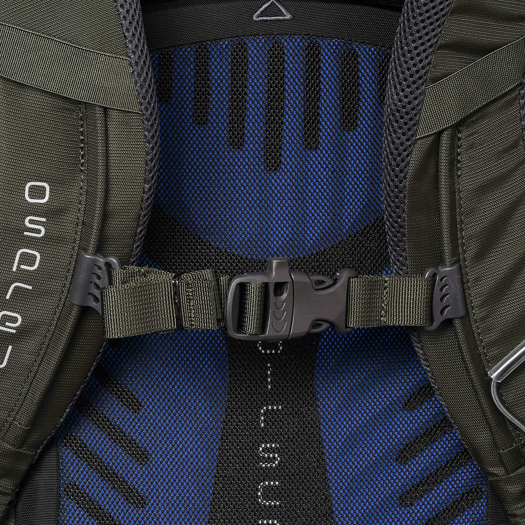 Osprey Packs Kestrel 38 Backpack, Picholine Green, Medium/Large - backpacks4less.com