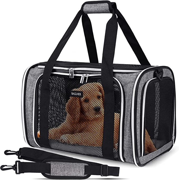 Choosing the Best Dog Travel Bag: Size, Material, and Airline Regulations