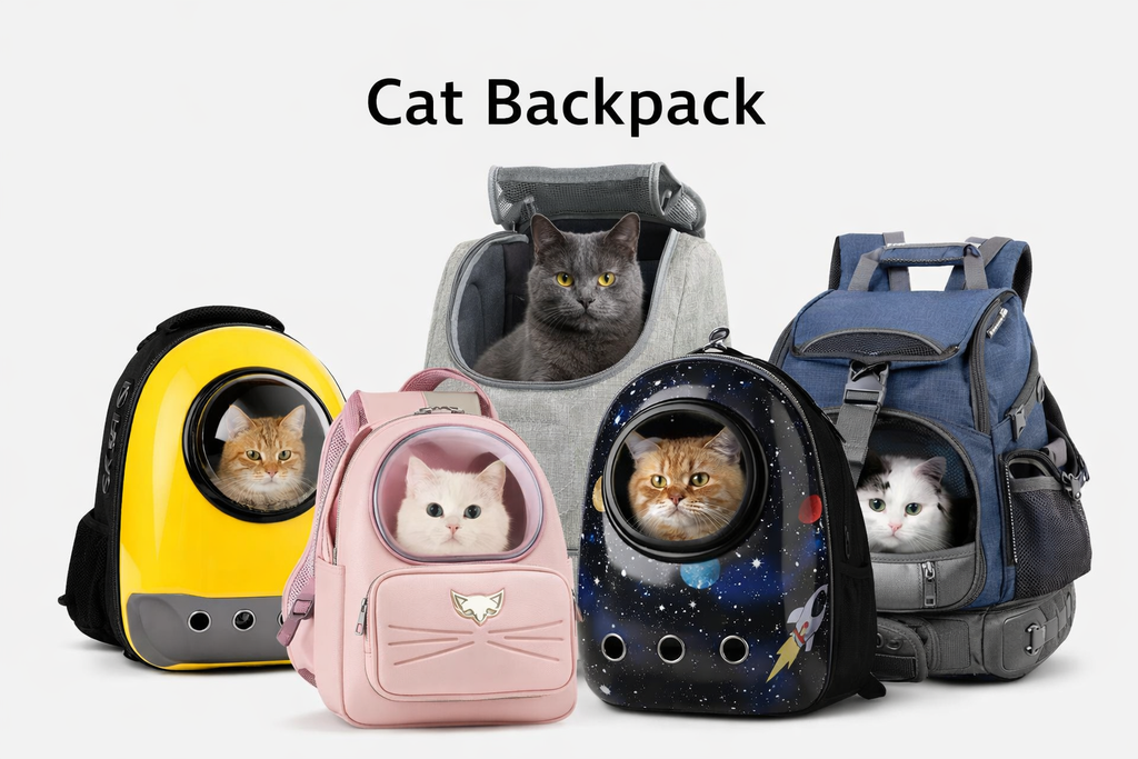 Cat Backpack Comparison: Top Models Reviewed for Comfort and Safety