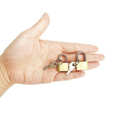 2 Pcs Small Solid Brass Locks with Keys, 20mm + 25mm Mini Key Locks, for Luggage, Backpack, Gym Locker, Jewelry Box (20 - 25mm)