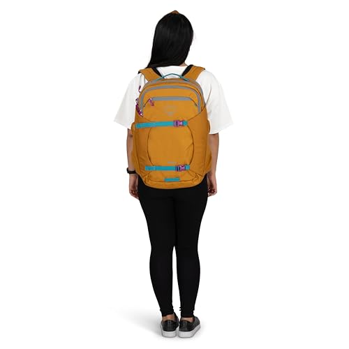 bring a laptop backpacking Maxlite Backpack Laptop Backpacking Trips The Pakt