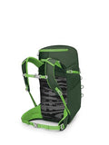 Osprey Jet 28L Kid's Hiking Backpack, Green Canopy