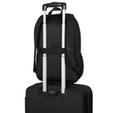 Targus 15.6p Classic Backpack