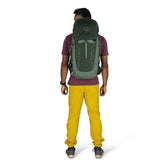 Osprey Talon 33L Men's Lightweight Hiking Backpack - Daypack for Travel & Camping, Green Canopy/Pine Leaf