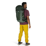 Osprey Talon 33L Men's Lightweight Hiking Backpack - Daypack for Travel & Camping, Green Canopy/Pine Leaf