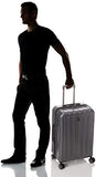 DELSEY PARIS Titanium Hardside Expandable Luggage with Spinner Wheels Checked Luggage, Graphite, Checked-Medium 25 Inch