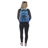 High Sierra Access 2.0 Laptop Backpack, Graphite Blue/Mercury, One Size