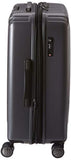 DELSEY PARIS Titanium Hardside Expandable Luggage with Spinner Wheels Checked Luggage, Graphite, Checked-Medium 25 Inch