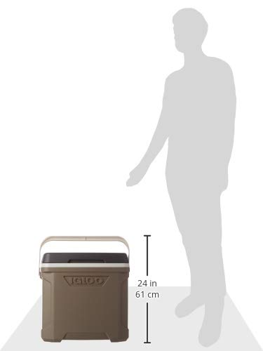IGLOO 30qt Sportsman Cooler