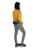 Osprey Daylite Waist Pack, Tumbleweed Yellow/Tunnel Vision