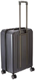 DELSEY PARIS Titanium Hardside Expandable Luggage with Spinner Wheels Checked Luggage, Graphite, Checked-Medium 25 Inch