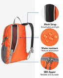 WATERFLY Small Lightweight Packable Backpack: 20l Ultra Light Foldable Travel Hiking Camping Daypack Day Pack for Man Woman