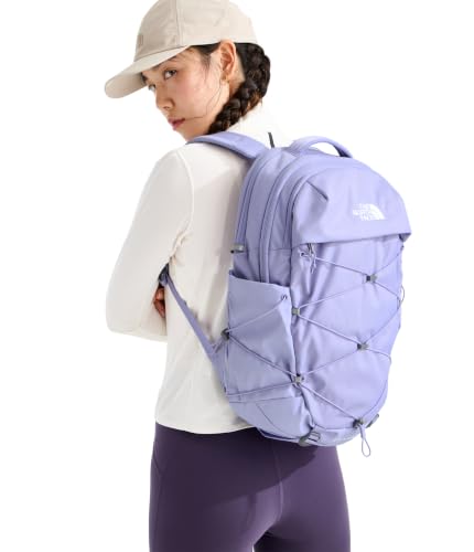 The North Face Women's Borealis Commuter Laptop Backpack - Everyday Travel Bag, Laptop Sleeve, Reflective Details, Pale Plum Light Heather/Pale Plum, One Size