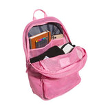 adidas Hermosa Mesh See-Through Backpack – Festival Concert Stadium Beach Bag, 29L, Bliss Pink/2, OSFA