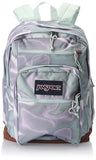 JANSPORT Unisex COOL STUDENT Backpack (pack of 1), PLATINUM PUDDLES, XL, Casual