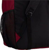 JanSport unisex-adult Big Student (Burgundy, One Size)