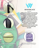 Winterlace 36 Pack Backpack Bulk 17-inch Zippered Bags Outdoor Travel Kids School Students Unisex Wholesale