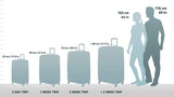 Rockland Laguna Beach Hardside Spinner Wheel Luggage, Black Dot, Carry-On 20-Inch