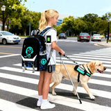 RM Family School Backpack for Boys Print Backpack Teenagers Anime Large School Bag Outdoor Reflective Daypack.Luminous Pattern Travel Laptop Backpack - With Usb Charging Port Headphone port(Blue)