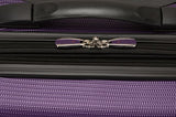 Rockland Melbourne Hardside 3 Piece Expandable Spinner Wheel Luggage Set, (20"/24"/28"), Purple