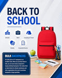 Winterlace 24 Pack Backpack, Bulk 17 inch Lightweight Outdoor Travel Gym Corporate Events Bag (Assorted)
