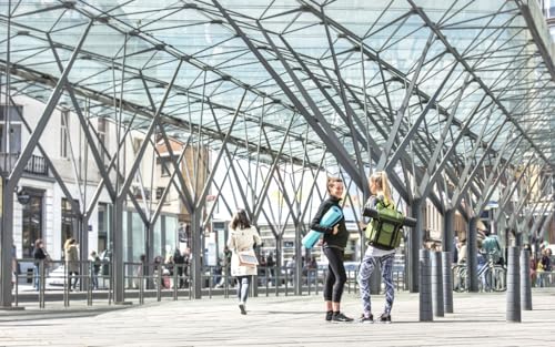 Thule Subterra Backpack 25L