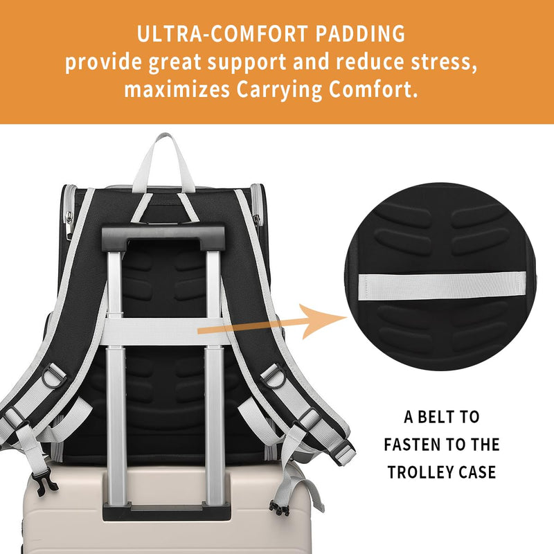 Cat Backpack Carrier for Small Dogs and Medium cat Puppy Kitten Bunny Pet Carrier Backpack Collapsible with Fully Ventilated Mesh with Safety Leash (Black, 12.9" L x 10.62" W x 15.5" H - M)
