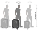 Amazon Basics 26-inch Hardside Checked Luggage With Leather Detailing, Expandable Spinner Suitcase With 8 Multi-directional Wheels, Scratch-Resistant Surface, Black