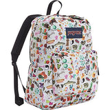 JanSport Superbreak Backpack- Sale Colors (Multi Stickers)