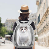 Pet Backpack Carrier,Bubble Backpack Cat Carrier,Pets and Small Dogs,Space Capsule Pet Carrier for Traveling, Walking, Hiking and Outdoor Activities (Gray)