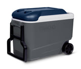 Igloo Maxcold 40 Roller (Ash Gry.Wht.Aegean Sea.Blk) 00034814, 38 Litre