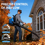 63CC Gas Backpack Leaf Blower, 2 - Stroke Engine, 665 CFM, 205 MPH for Lawn Care, Yard Debris & Snow Removal