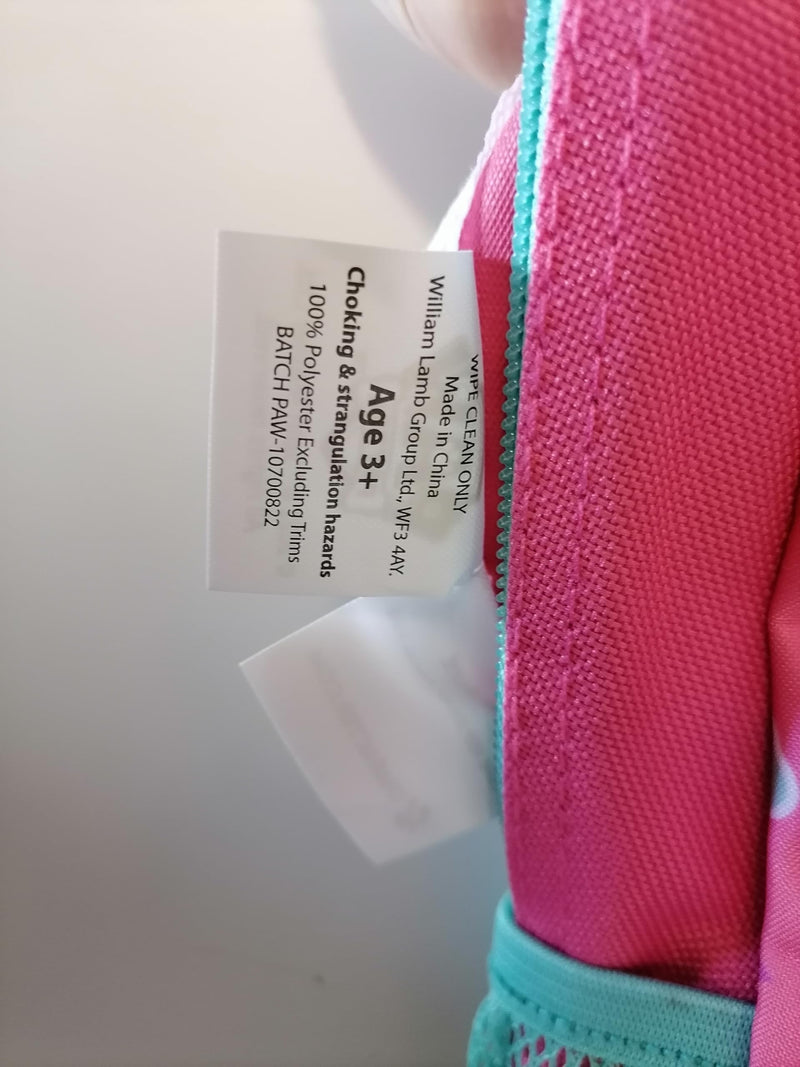 Paw Patrol Kids Skye Chase Everest Backpack