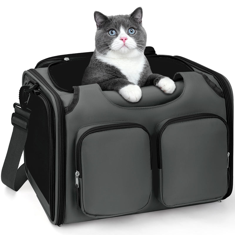 Dog, Cat Carrier for Pets Up to 15 Lbs, Airline Approved Collapsible Soft-Sided Pet Travel Bag with Locking Zippers, Breathable Mesh and 4 Large Pockets, Removable Fleece Pad (Dark Grey)