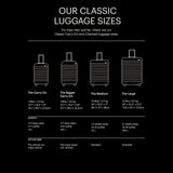 Away Carry-On Luggage, Lightweight Hardside Suitcase with Spinner Wheels, 22 Inch Airline Approved, TSA Lock, Cloud Gray