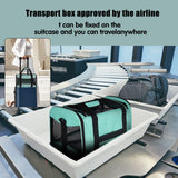 Cat Carrying Case Pet Dog Carrier Soft-Sided Cat Bag Airline Approved, Pet Travel Carrier Up to 15 Lbs, Collapsible Cats Carrier Dog Carrier for Medium Small Cats Dogs(17x11x11 Green)