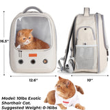 Lollimeow Pet Carrier Backpack, Bubble Backpack Carrier, Cats and Puppies,Airline-Approved, Designed for Travel, Hiking, Walking & Outdoor Use (Beige)