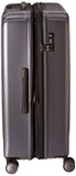 DELSEY PARIS Titanium Hardside Expandable Luggage with Spinner Wheels Checked Luggage, Graphite, Checked-Large 29 Inch