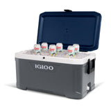 Igloo Maxcold 40-100 Qt Commercially Insulated Coolers