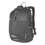 Eddie Bauer Stowaway Packable Backpack | Travel | Outdoor | Lightweight | Foldable | Durable | Ripstop Polyester | 30L - Dark Smoke