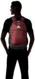 Striker Team Sports Backpack for soccer and more, workout bag for men and women