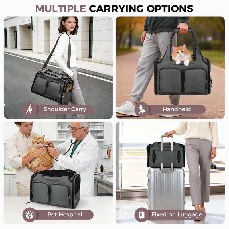 Dog, Cat Carrier for Pets Up to 15 Lbs, Airline Approved Collapsible Soft-Sided Pet Travel Bag with Locking Zippers, Breathable Mesh and 4 Large Pockets, Removable Fleece Pad (Dark Grey)