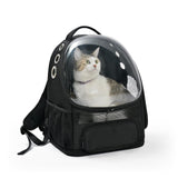 Amazon Basics Pet Carrier Backpack for Small Cats & Dogs, Collapsible Travel Carrier with Bubble Window & Breathable Mesh, Foldable for Travel, Black