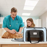 DSDCDJ Cat Carrier Dog Carrier - Soft-Sided Cat Carrier with Plush Pad & Cooling Mat, Easy-Load 4-Side Zipper & 3-Side Mesh Ventilation, Pet Carrier Airline Approved for Cats/Dogs Up to 16 lbs, Blue